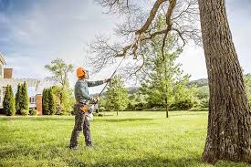 How Our Tree Care Process Works  in Wood River, IL